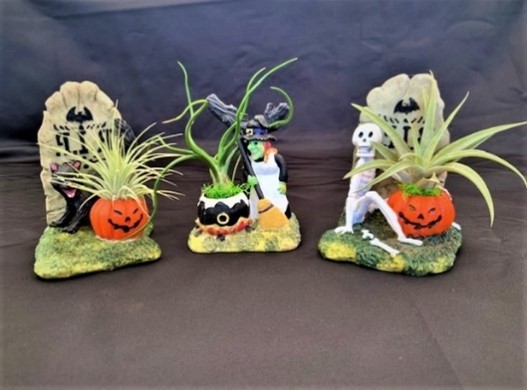 .4″ Halloween Scenes – Tri State Foliage In-House Availability